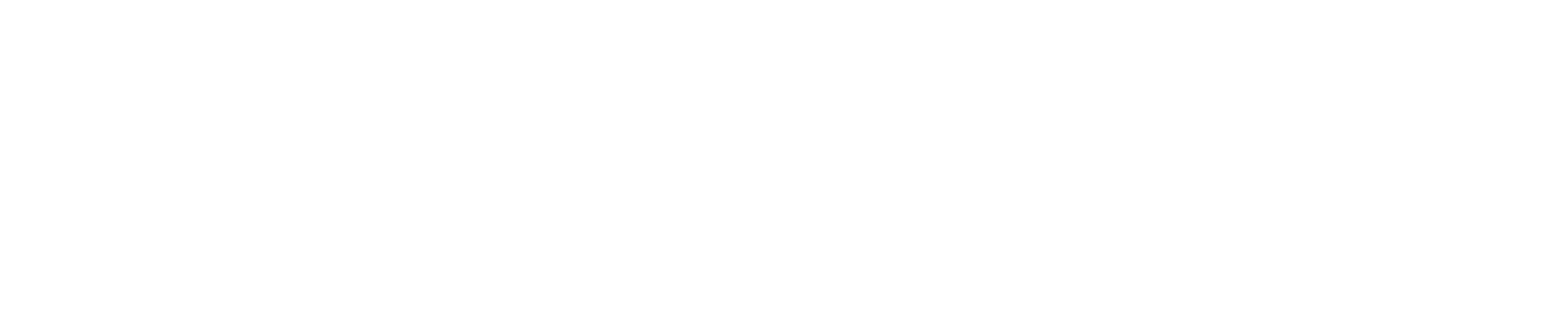 StyleCam